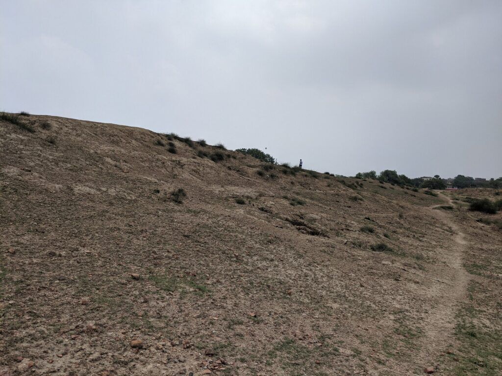 An archaeological site notice board at Rakhigarhi provides information about the location and its historical significance, set against a backdrop of open landscape.